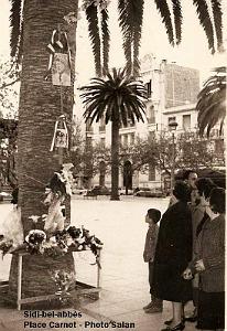 Oran- SDV- 0504